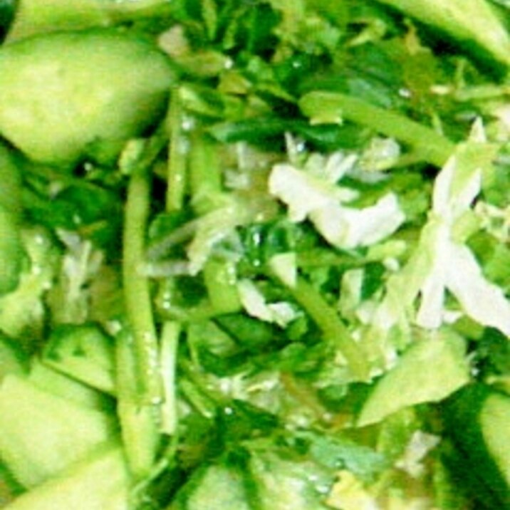 ニンニクたっぷりグリーンサラダ